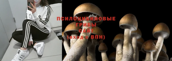 spice Карпинск