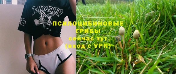 spice Карпинск