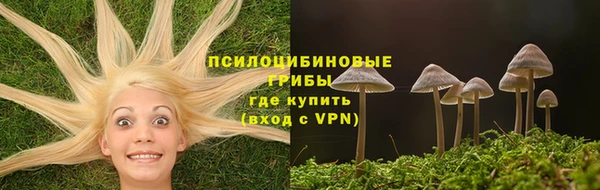 бутират Касимов